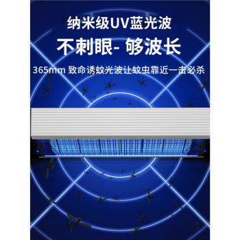 商用滅蠅燈電擊式LED戶外電蚊燈驅蚊捕蚊蠅燈餐廳家用電子滅蚊器