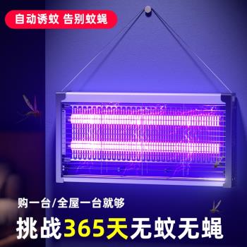 滅蚊燈滅蠅燈家用室內驅蚊子蒼蠅捕捉器餐廳飯店商鋪神器掛墻捕蚊