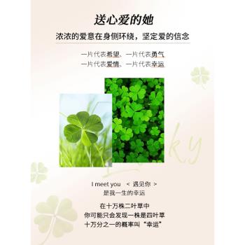 (免運)純銀四葉草手鏈女款輕奢小眾精緻手鐲2025年新款生日禮物送女朋友