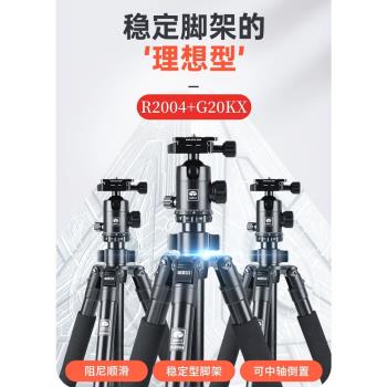 思銳R2004+G20KX相機三腳架單反攝影攝像專業穩定支架手機微單照相機配件球形雲臺便攜鋁合金三角架投影儀架