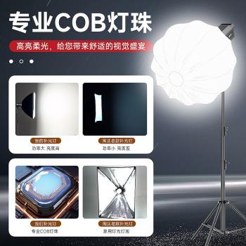 50w專業補光燈主播專用柔光燈拍照拍視頻攝影燈珠寶服