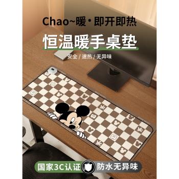 卡通加熱鼠標墊暖熱墊可愛女辦公學習桌面加熱暖桌墊學生宿舍寫字發熱桌墊暖手防水暖桌墊筆記本電腦滑鼠墊子