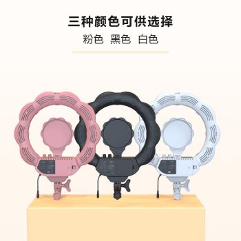 海蛙SL-107網紅新品間補光燈室內柔光美顏拍照攝影打光燈