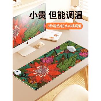 印花集csgo加熱鼠標墊超大號遊戲電競專用暖桌墊學生宿舍電腦鍵盤發熱墊冬季暖手防凍手辦公室桌面墊左側開關