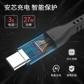 藍盛雙頭typec數據線ctoc公對公typc充電器雙C口PD100W適用ipadpromacbook24/23手機switch