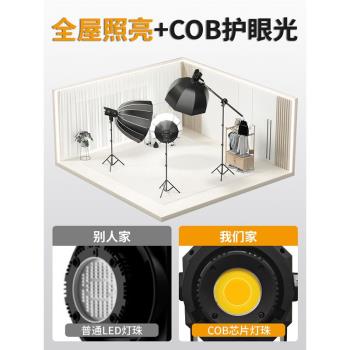 led新品補光燈主播美顏專用打光室內攝影棚拍照球形深拋太陽燈光