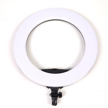 led21寸網紅主播新品美顏環形燈新品攝影補光燈