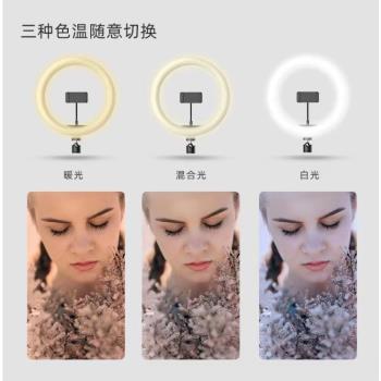 新品網紅環形燈10寸補光燈美顏打光燈26cm自拍燈新品燈