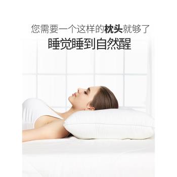 睡眠博士決明子枕頭成人單人雙人蕎麥枕助睡眠護頸椎枕枕芯家用