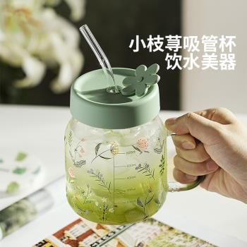 摩登主婦小草苓玻璃杯子女咖啡牛奶杯2024新款水杯辦公室吸管水杯