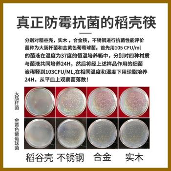 防黴筷子抗菌不發黴防滑加長稻殼環保家用中式快子網紅家庭裝10雙