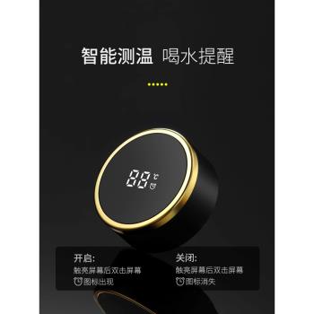 英國Vanow高檔茶水分離泡茶杯雙層玻璃杯男士便攜透明隔熱水杯子