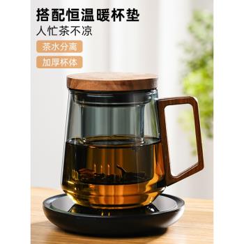 茶杯家用杯子高硼矽耐高溫茶具玻璃杯茶水分離辦公室男女士泡茶杯