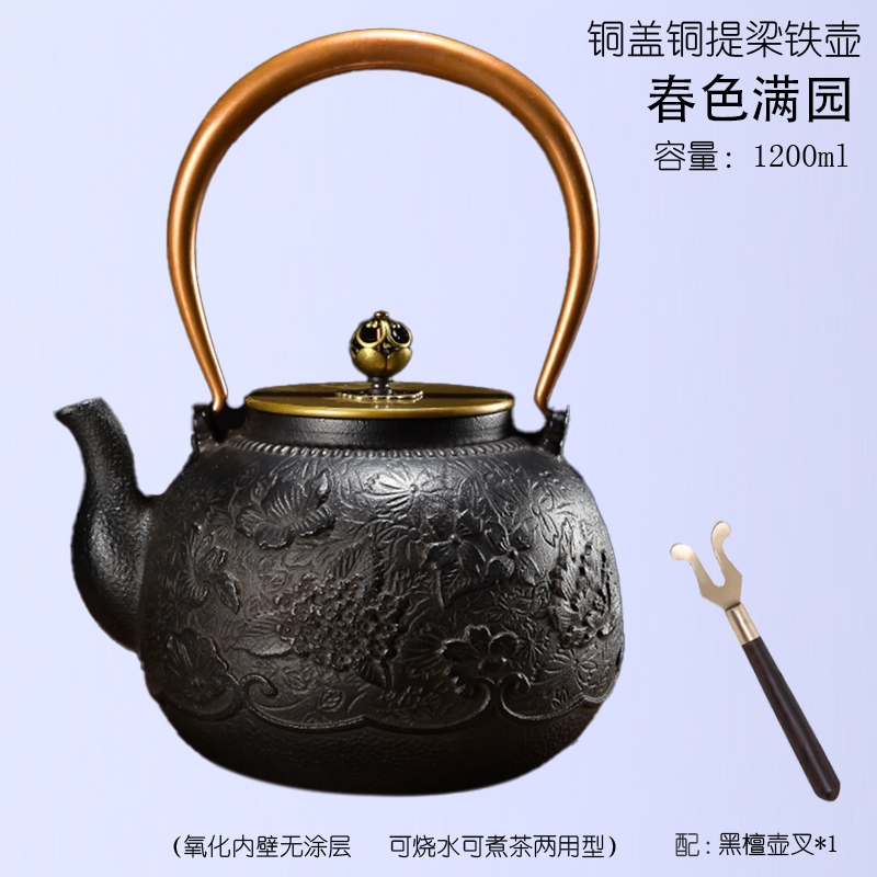 鐵壺 鐵器 茶具 茶壺 雙銅禪茶鐵壺手工鑄鐵壺無涂層生鐵壺電陶爐加熱復古茶壺茶具家用|茶壺