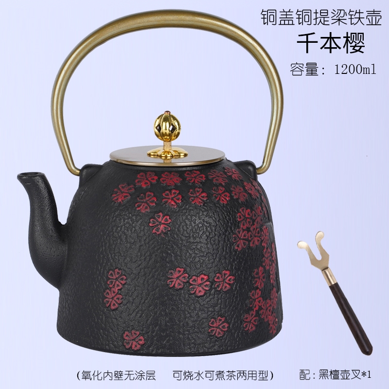 雙銅禪茶鐵壺手工鑄鐵壺無涂層生鐵壺電陶爐加熱復古茶壺茶具家用|茶壺