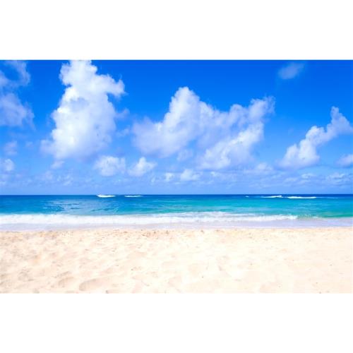 IPalau島可夢~SUP秘境探險、牛奶湖、水母湖、干貝城、鯊魚城、七彩珊瑚群、大斷層、小白宮5日-25RORQ3506