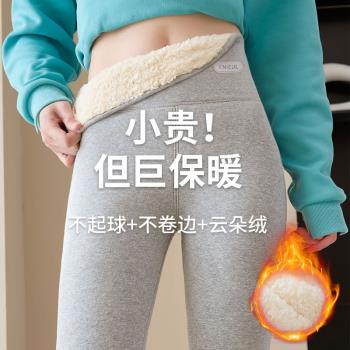 加絨加厚打底褲女外穿秋冬季雲朵絨棉褲東北特厚高腰大碼保暖褲子