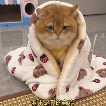 貓咪睡墊冬季保暖加厚毛毯子貓墊子比熊泰迪睡覺寵物狗狗毛絨地墊