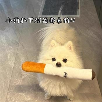 狗狗玩具毛絨香煙自嗨解悶發聲磨牙耐咬棒寵物小狗金毛大中小型犬