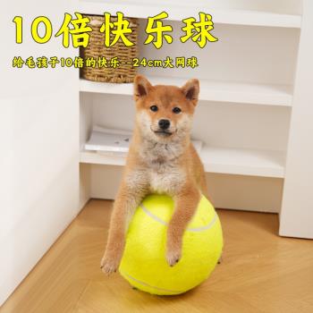 狗狗玩具球十倍快樂球超大網球逗狗解悶柴犬柯基法鬥寵物96503