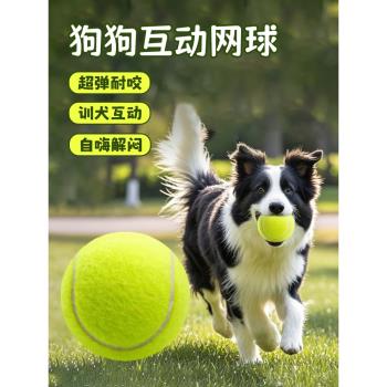 狗狗玩具球解悶神器寵物訓練邊牧金毛柯基耐咬遛小狗磨牙橡膠網球