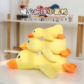 狗狗玩具毛絨陪睡鴨耐咬磨牙發聲解悶小中型犬寵物發聲玩具小黃鴨