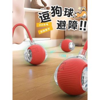 狗狗玩具自動遛狗球貓咪耐咬自嗨逗狗狗神器小型犬寵物小狗突突球