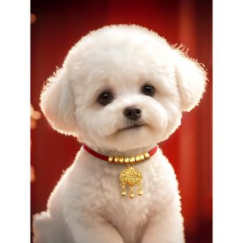 狗狗項圈狗脖圈長命鎖小狗項鏈中小型犬脖套貓項圈寵物貓咪小配飾