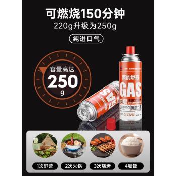 德國卡式爐2024新款便攜式氣罐燃氣灶露營爐煮茶瓦斯鍋具卡磁爐