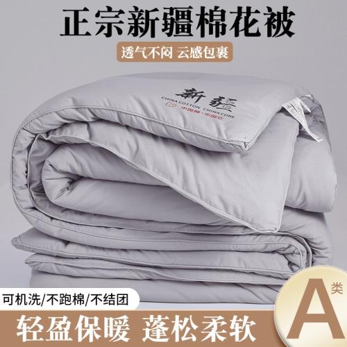 A類母嬰級100%新疆棉花被 加厚保暖學生宿舍冬被春秋被子四季被芯