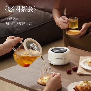 煮茶壺多功能養生壺迷你辦公室煮茶器家用小型全玻璃女士一人新款