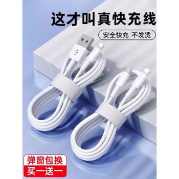 馴龍師 資料線適用於iPhone14蘋果13快充11promax手機12充電器7p 6se加長8plus閃充PD20W充電線iPad平板2米XR