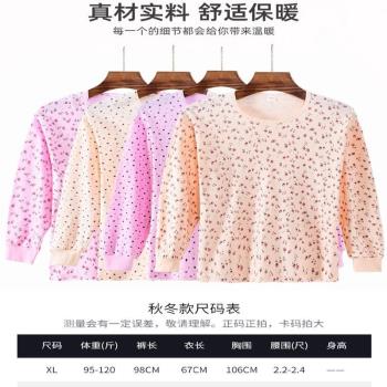 中老年精品秋衣女純棉洋氣棉毛衫老人中圓領保暖全棉內衣單件上衣
