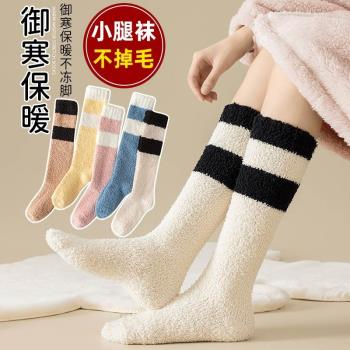 珊瑚絨襪子女冬季小腿月子襪老人高筒半腿襪加絨加厚秋冬保暖睡眠