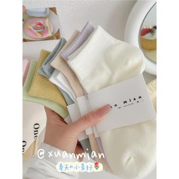 夏季純色短筒襪子女純棉薄款日系學生運動彩色短襪運動春秋中筒襪