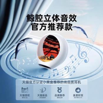 有線耳機入耳式typec介面適用蘋果iphone16/15promax手機ipad/Mac