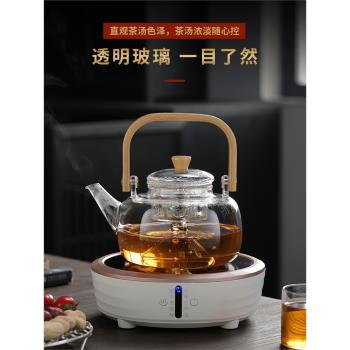 玻璃茶壺泡茶家用煮茶壺加厚耐高溫泡茶壺單壺可加熱茶具圍爐煮茶