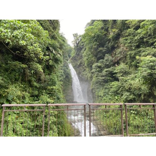 南投｜祥龍瑞氣～瑞龍瀑布.財源滾滾~竹山紫南宮.蘿莎玫瑰山莊1日｜高雄出發_24KHHNTO60