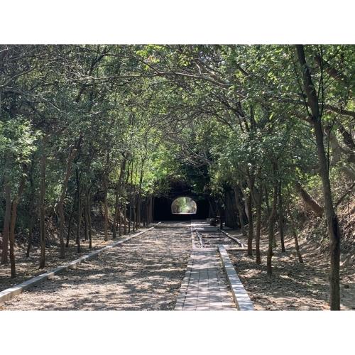 苗栗旅遊｜崎頂子母隧道.造橋車站園區.消暑仙草.客庄米食餐盒一日｜大人囝仔_23TWMLIXIA