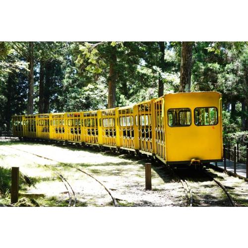 宜蘭旅遊│太平山蹦蹦車．森林小火車．原始林步道一日│大人囝仔_24TEYLNBO2