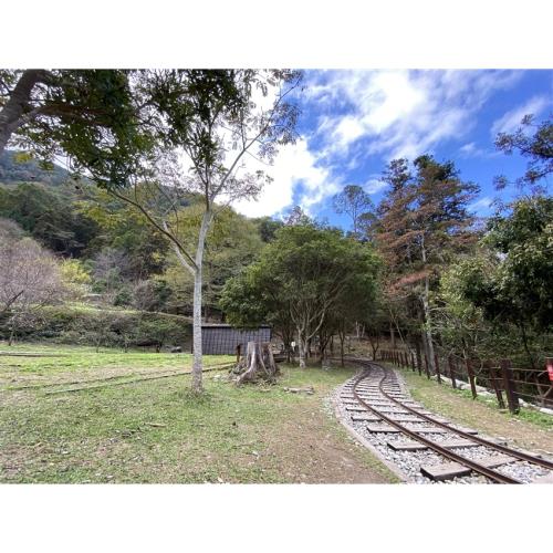 台中旅遊｜大人囝仔｜八仙山國家森林遊樂區.谷關溫泉老街一日｜中部出發_24TND01R48