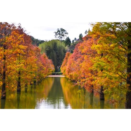 苗栗旅遊｜期間限定.鮮採紅棗.崎頂子母隧道.穿龍老屋豆腐坊.苗栗陶瓷農創園區.范家宴客家料理一日｜大人囝仔-24TWMLIRED