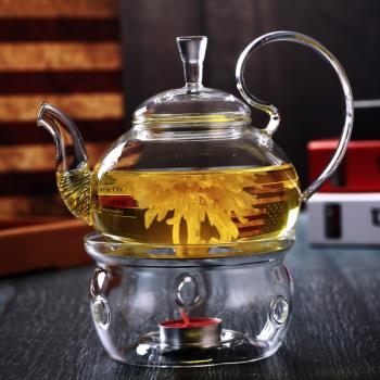 玻璃泡茶壺加厚套裝花茶壺高把壺養生壺耐熱茶具可明火直燒玻璃壺