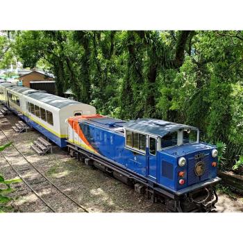 嘉義｜獨家栩悅號『北門站➔奮起湖』森林導覽列車.沐藝家二日｜高雄臺南 25KHHCYI31