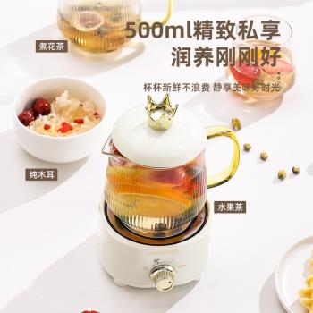 迷你養生杯養生壺電燉杯小型煮茶器家用花茶壺玻璃便攜燒水杯110V