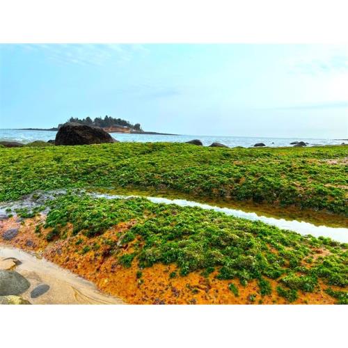 金門旅遊｜小金門夢幻綠石槽．大金門奇幻藍眼淚3日_25TI401JJA