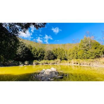 高雄旅遊｜四人成行｜南橫風華再現.天池秘境.埡口雲海1日｜高雄出發（九人座商務車）-25TKKHHT20