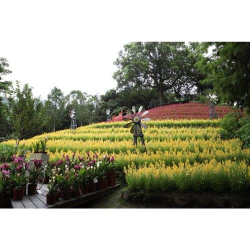 苗栗旅遊｜新社薰衣草.台中紙箱王.卓也藍染DIY.花露農場.農場採蔬果.鯉魚潭水庫.巧克力雲莊.卓也二日｜大人囝仔-25TMMLISIN