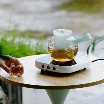 高硼矽玻璃煮茶壺綠茶白茶龍井電陶爐煮茶器泡茶圍爐煮茶玻璃茶壺