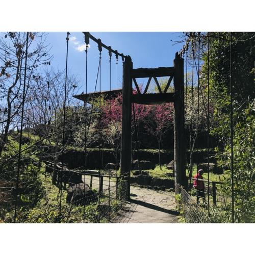 嘉義旅遊｜阿里山迷糊步道.蓋婭莊園.故宮南院戶外.棒棒積木飯店二日｜中部出發_25TS106N3O